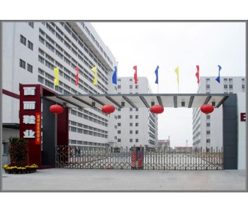 新百麗鞋業（深圳）有限公司